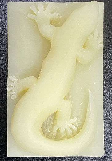 lizard sculpted from soap 